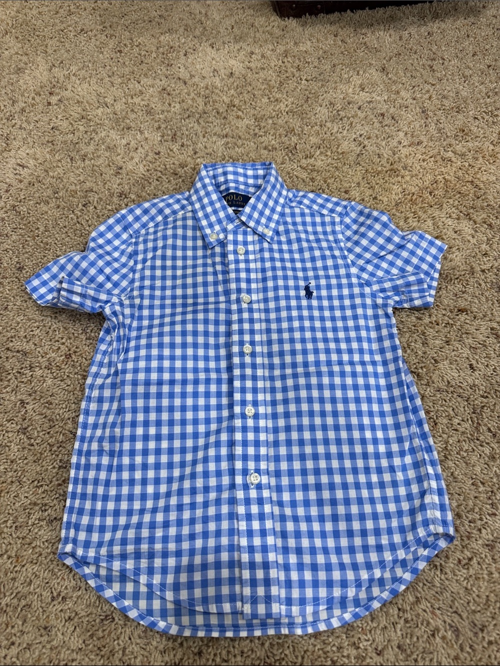 Polo by Ralph Lauren Blue and White Gingham Button-Down Shirt